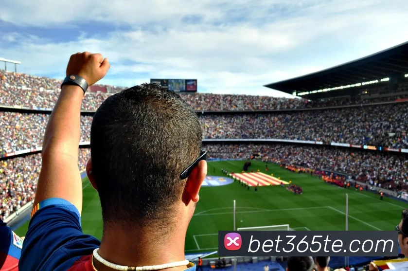 bet365官网平台生态图